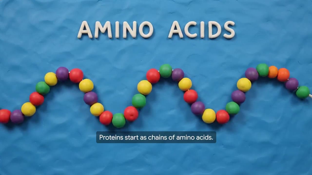 Protein Knowledge